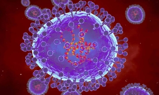 Việt Nam ứng phó thế nào trước sự gia tăng bệnh đường hô hấp do virus HMPV ở Trung Quốc?